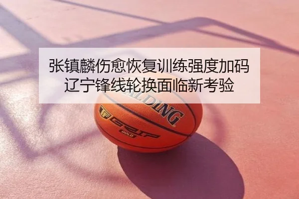 张镇麟伤愈恢复训练强度加码 辽宁锋线轮换面临新考验
