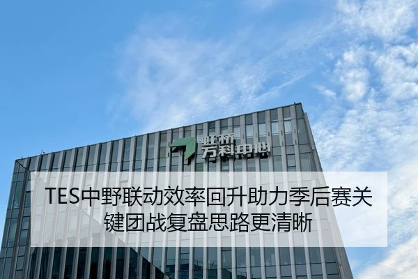 TES中野联动效率回升助力季后赛关键团战复盘思路更清晰