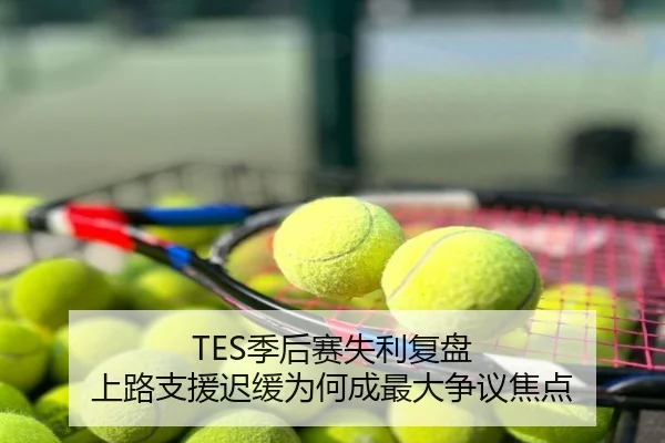 TES季后赛失利复盘 上路支援迟缓为何成最大争议焦点